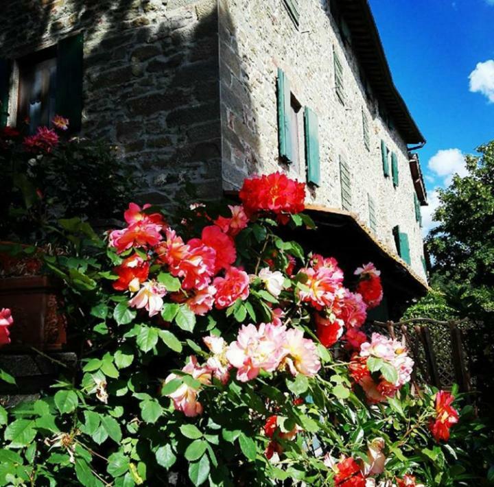 Podere I Rovai-Apt Il Rifugio- In The Heart Of Tuscany Reggello Eksteriør billede