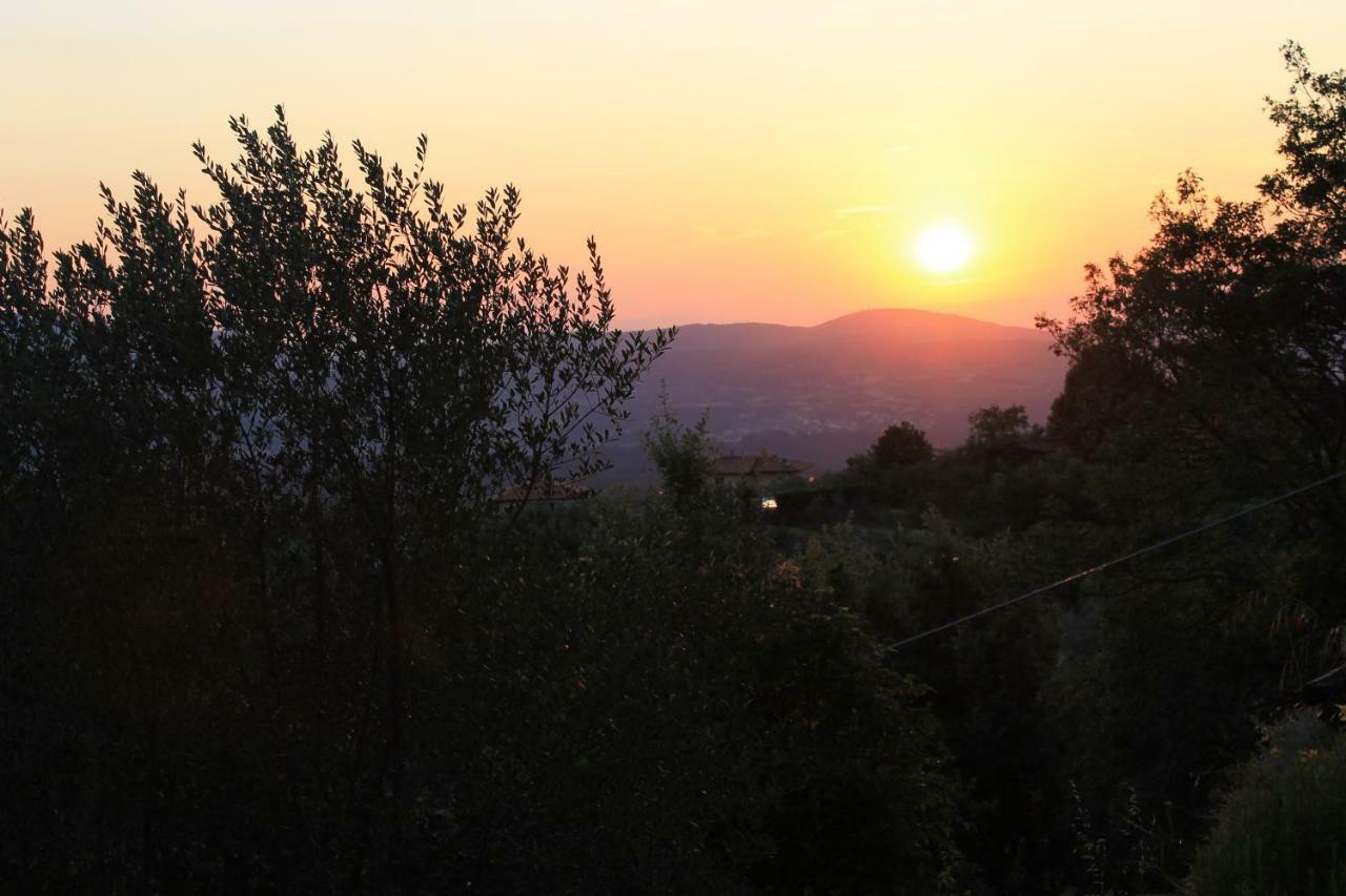 Podere I Rovai-Apt Il Rifugio- In The Heart Of Tuscany Reggello Eksteriør billede